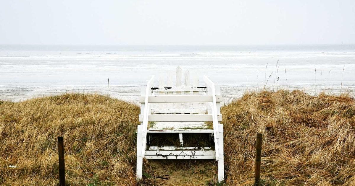 Motorola Rescue and Smart Assistant (LMSA)