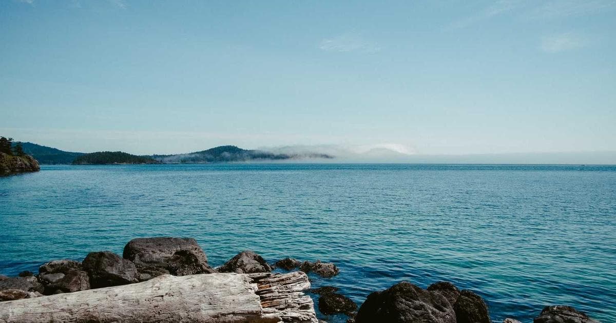 Oppo & Realme Unlock Tool v5