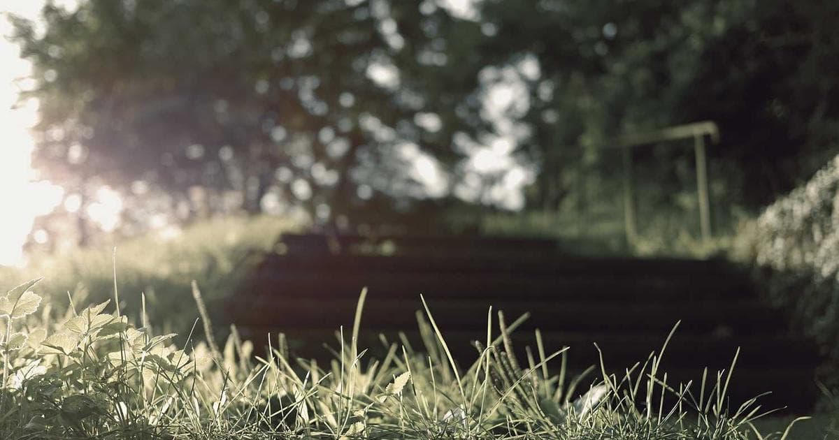 How to Fix a Water-Damaged Phone: A Step-by-Step Guide