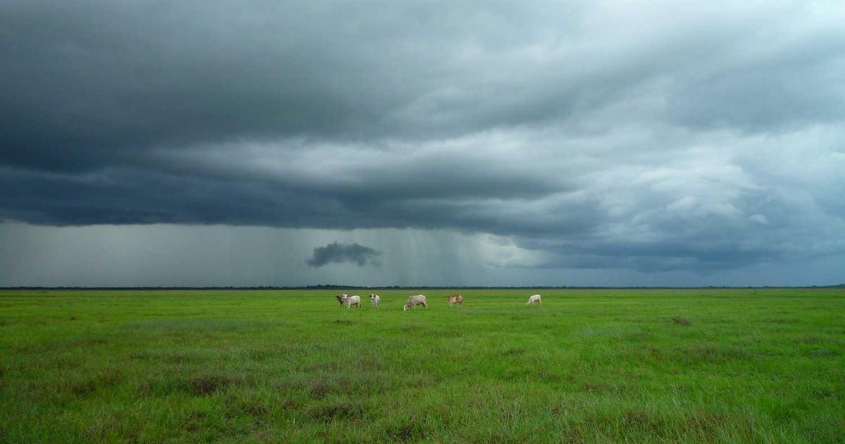 Qualcomm Firehose Programmer Collection (2024)