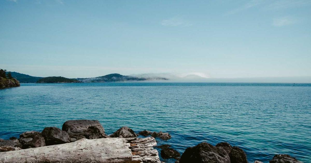 Oppo & Realme Unlock Tool v5