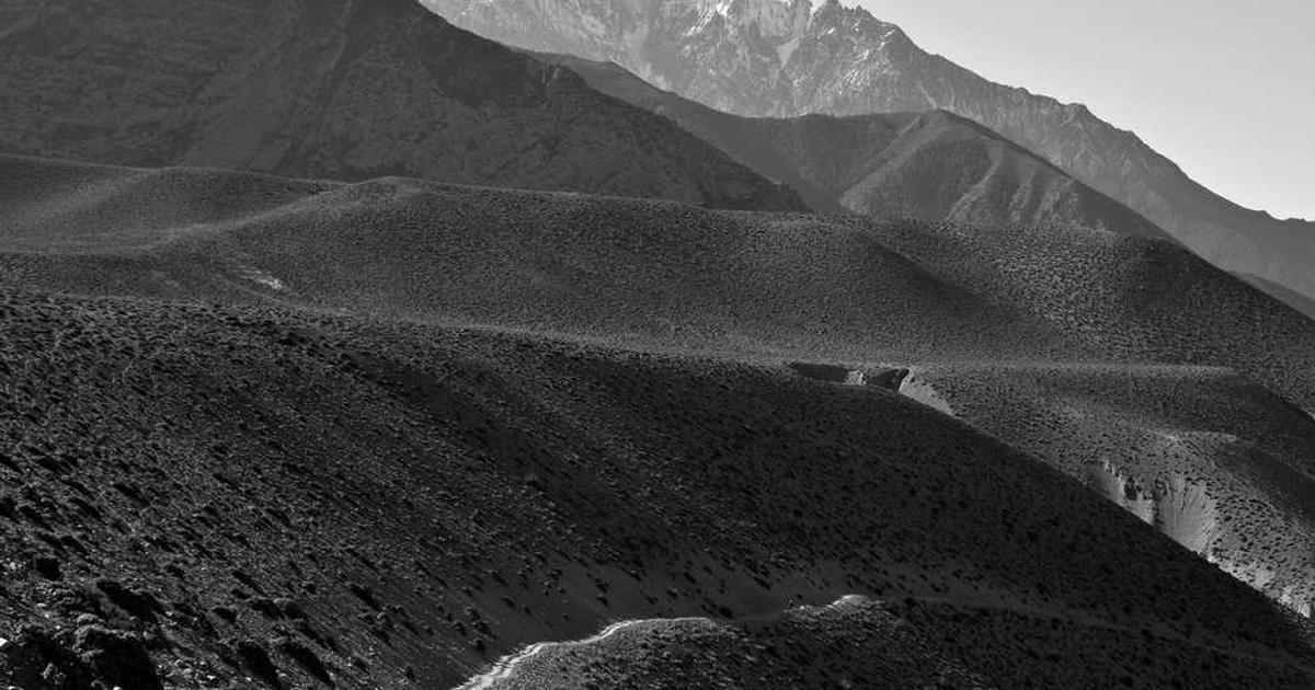 Google Pixel 7 Pro Factory Images