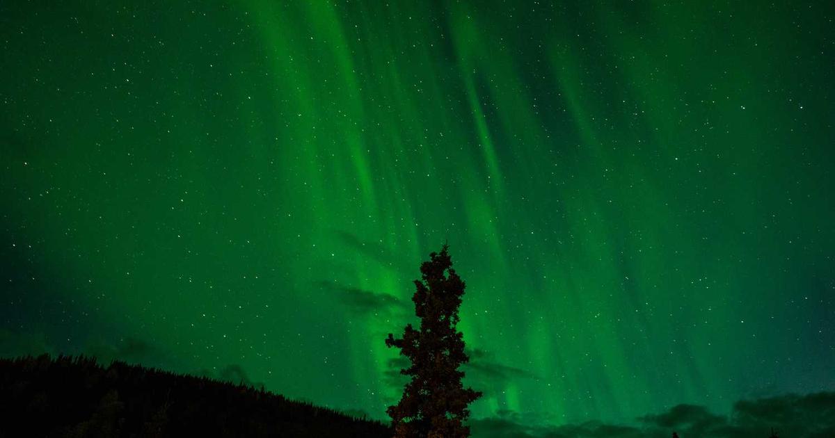 ZTE Axon 40 Ultra Global Firmware